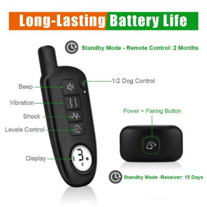 Why every dog owner needs a waterproof sport dog training collar