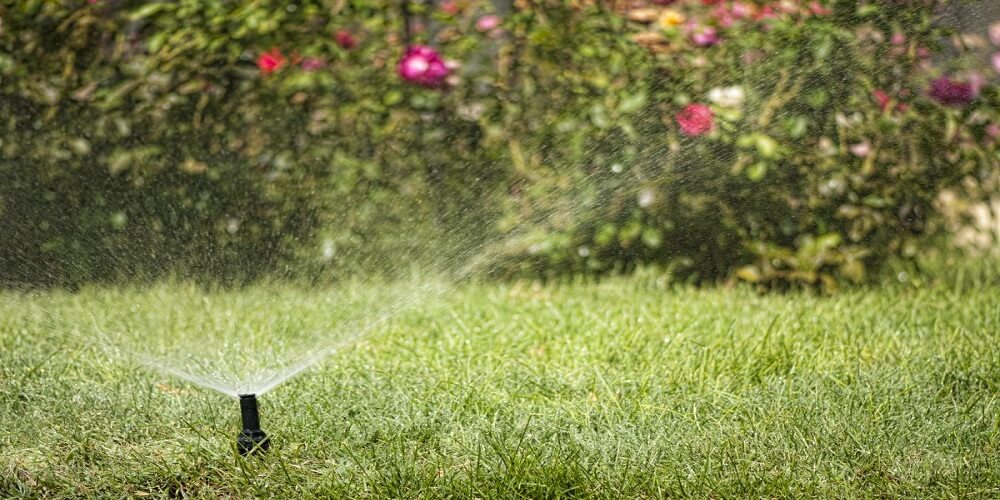 How to Prevent Your Hose from Spewing Chemicals