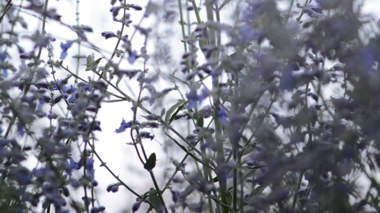 Single-Mode vs. Multimode Fiber Media Converters: What’s The Difference?